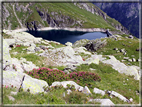 foto Lago di Costa Brunella